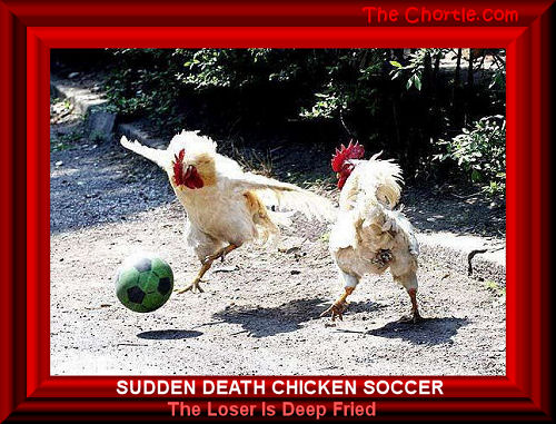 Sudden death chicken soccer.&nbsp;The loser is deep fried.
