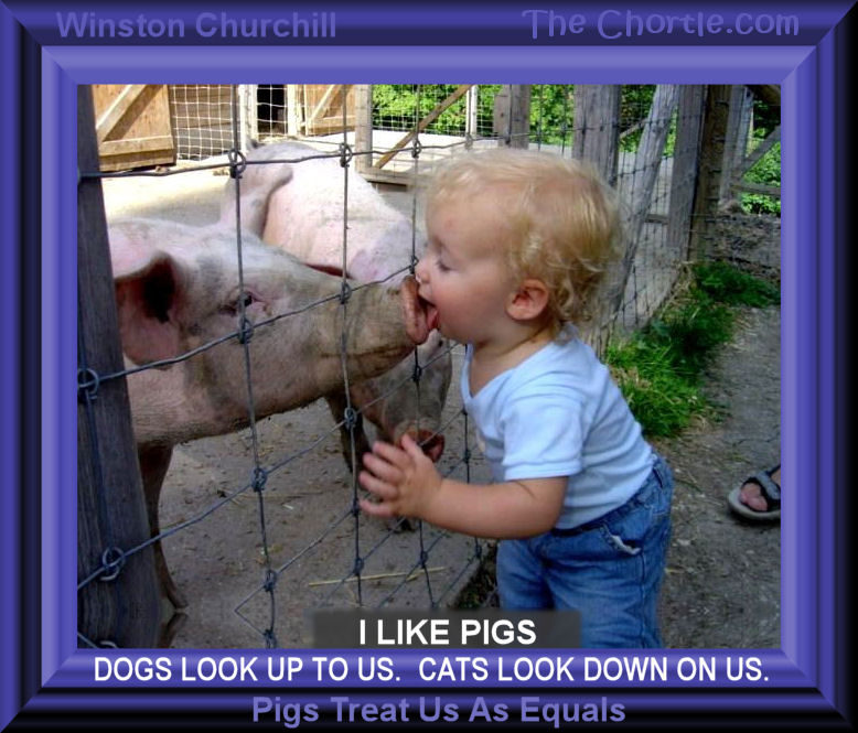 I like pigs.&nbsp;Dogs look up to us.&nbsp;Cats look down on us.&nbsp;Pigs treat us as equals - Winston Churchill 