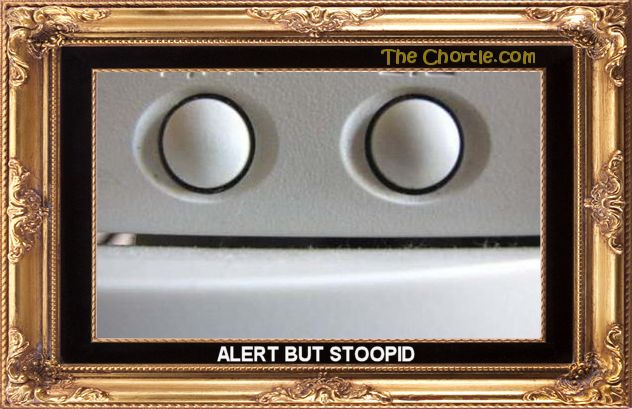 Alert but stoopid.