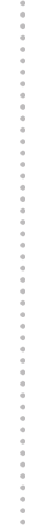 Dotted Divider Line