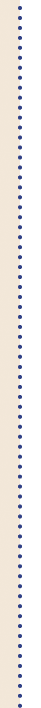 Dotted Divider Line