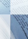 Biological Information: New Perspectives